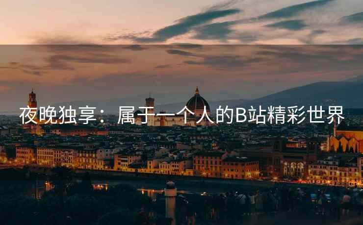夜晚独享：属于一个人的B站精彩世界