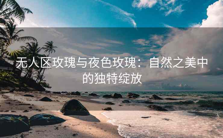 无人区玫瑰与夜色玫瑰：自然之美中的独特绽放
